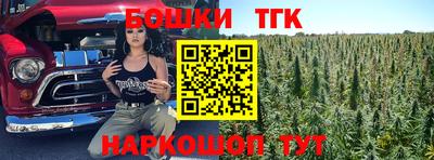 тгк Можга