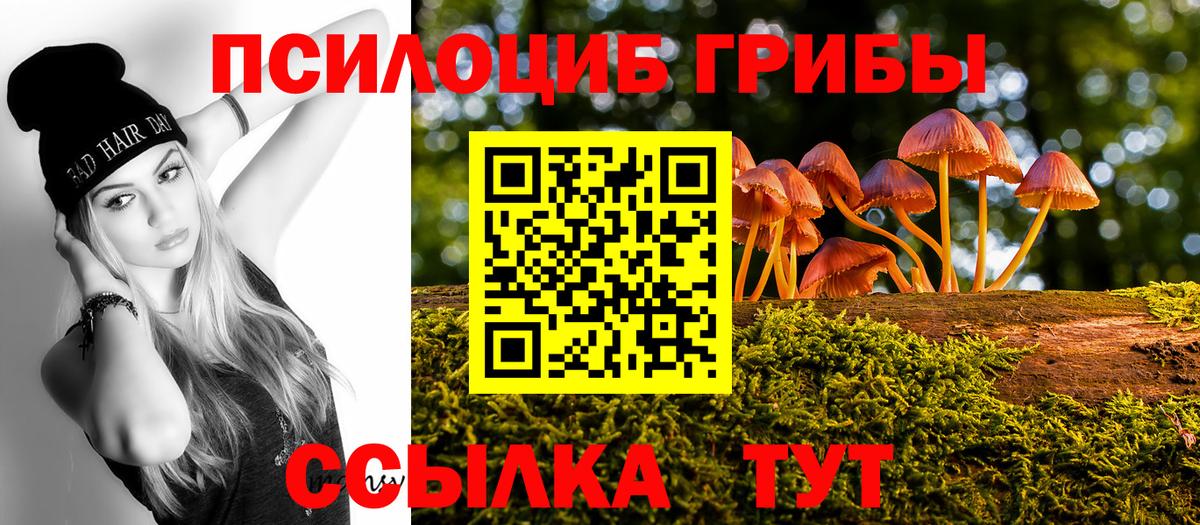 Галлюциногенные грибы прущие грибы  Вход с VPN  Тольятти 