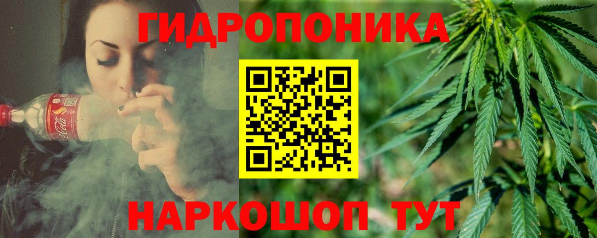 Тольятти  МАРИХУАНА SATIVA & INDICA  Конопля гибрид  Вход с VPN 